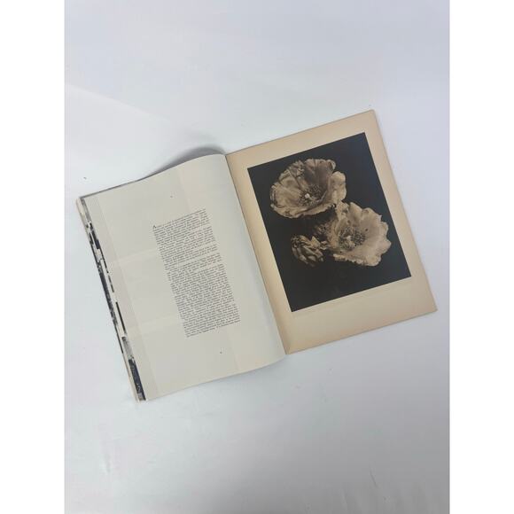 Vintage Ephemera - Arizona Highways Magazine - March 1944 - Mid Century Western - Picture 5 of 11